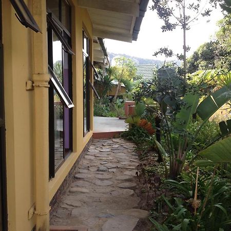 Port Saint Johnʼs Jungle Monkey Backpackers 호스텔 외부 사진