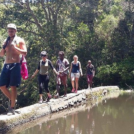 Port Saint Johnʼs Jungle Monkey Backpackers 호스텔 외부 사진