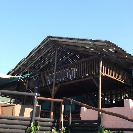 Port Saint Johnʼs Jungle Monkey Backpackers 호스텔 외부 사진