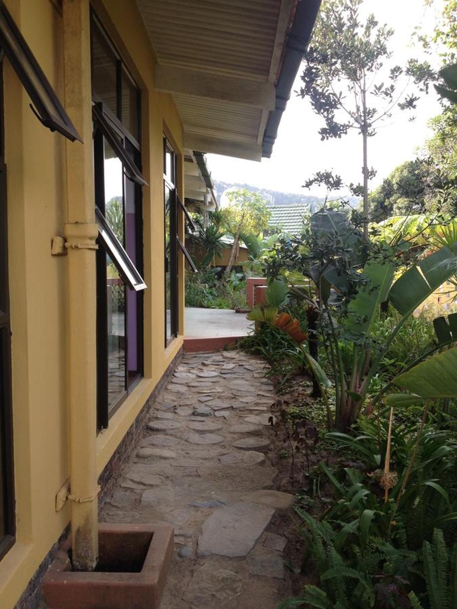Port Saint Johnʼs Jungle Monkey Backpackers 호스텔 외부 사진