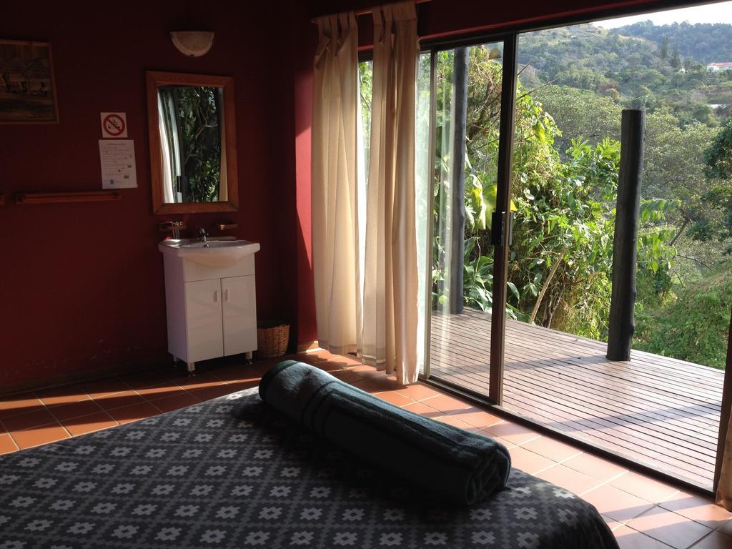 Port Saint Johnʼs Jungle Monkey Backpackers 호스텔 객실 사진