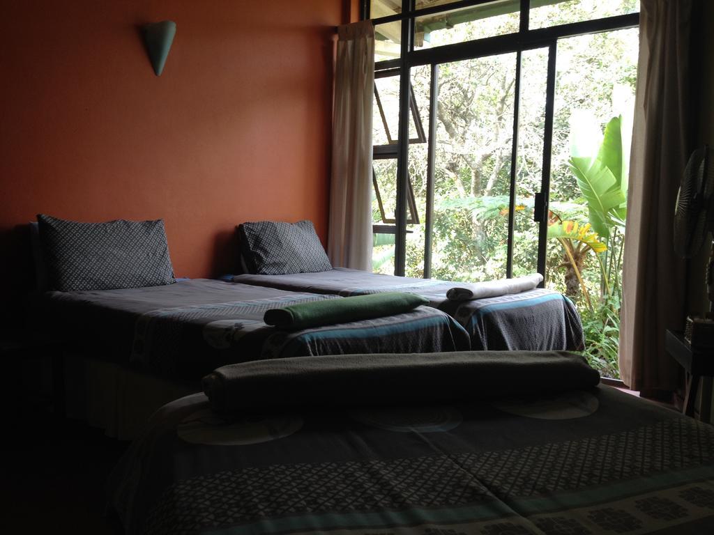 Port Saint Johnʼs Jungle Monkey Backpackers 호스텔 객실 사진