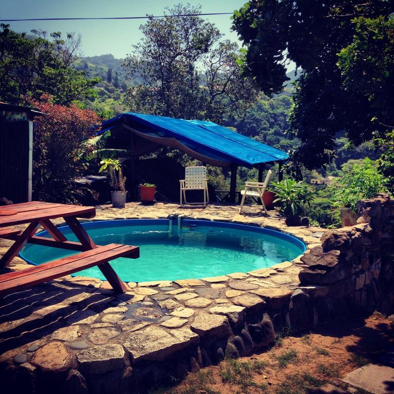 Port Saint Johnʼs Jungle Monkey Backpackers 호스텔 객실 사진