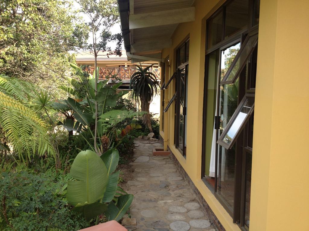 Port Saint Johnʼs Jungle Monkey Backpackers 호스텔 객실 사진
