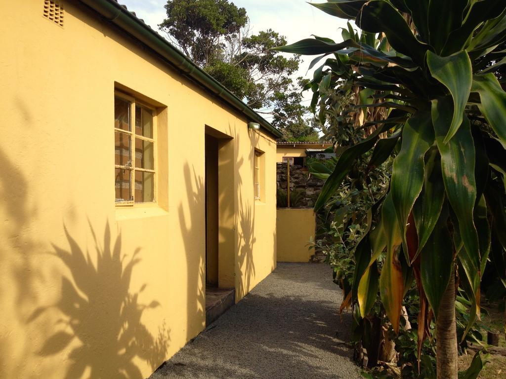 Port Saint Johnʼs Jungle Monkey Backpackers 호스텔 객실 사진