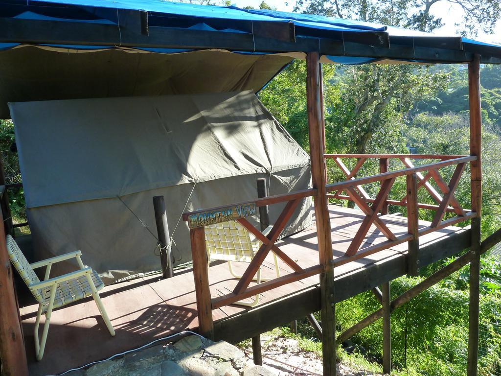 Port Saint Johnʼs Jungle Monkey Backpackers 호스텔 객실 사진