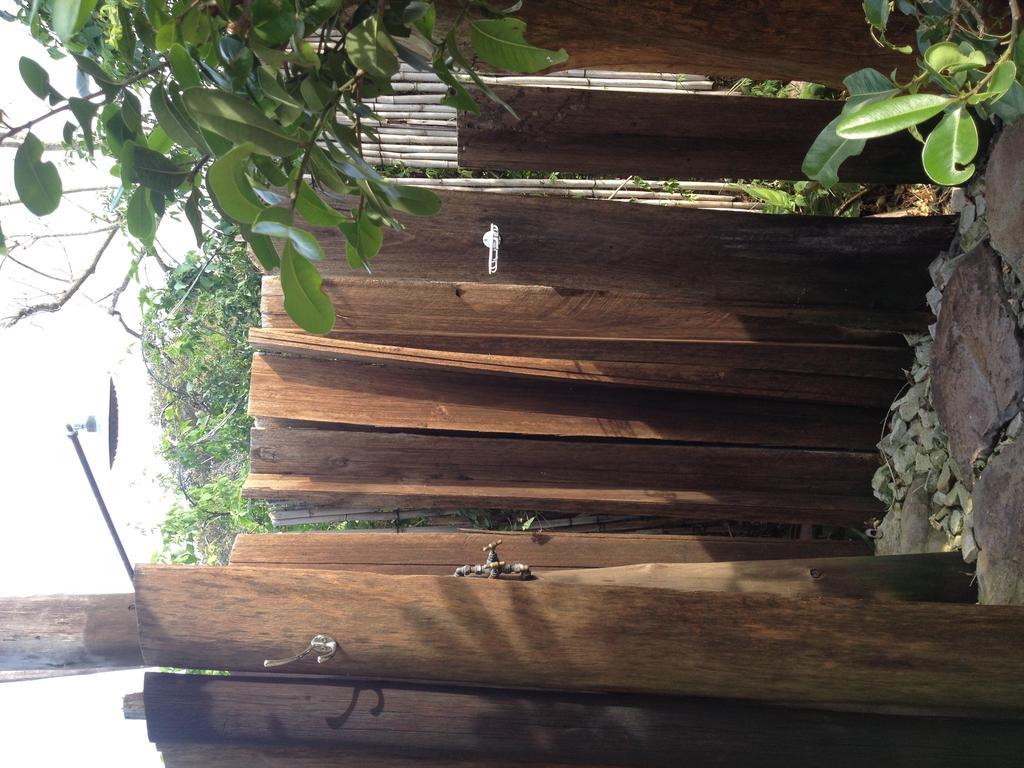 Port Saint Johnʼs Jungle Monkey Backpackers 호스텔 객실 사진