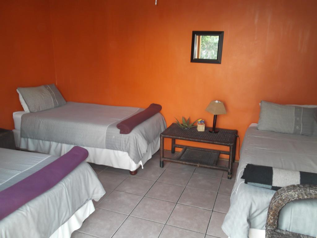 Port Saint Johnʼs Jungle Monkey Backpackers 호스텔 외부 사진