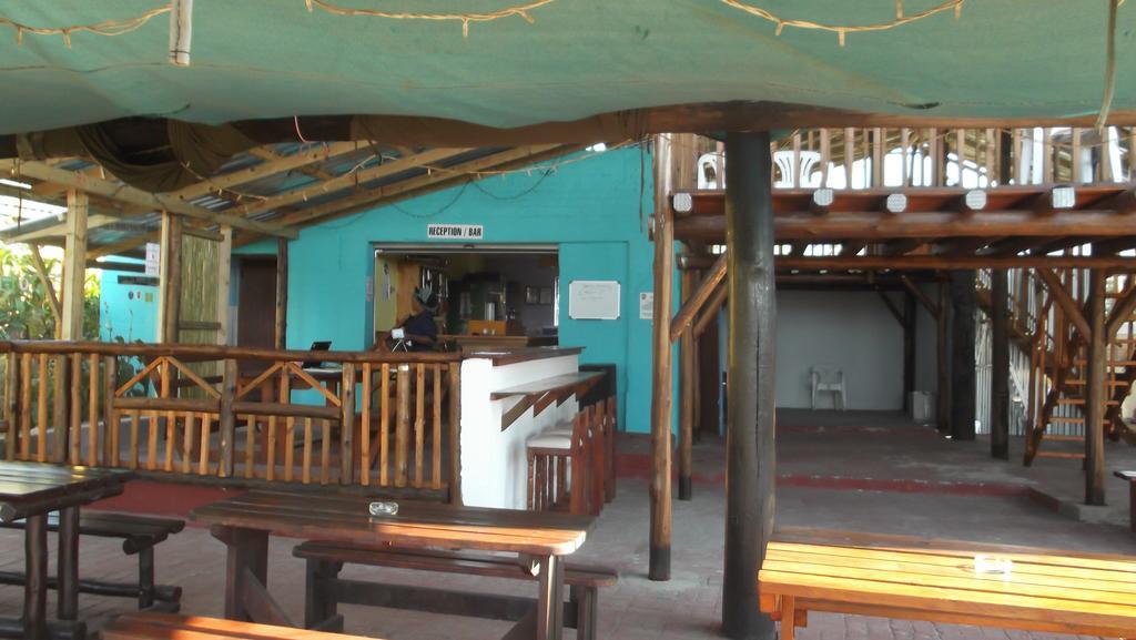 Port Saint Johnʼs Jungle Monkey Backpackers 호스텔 외부 사진